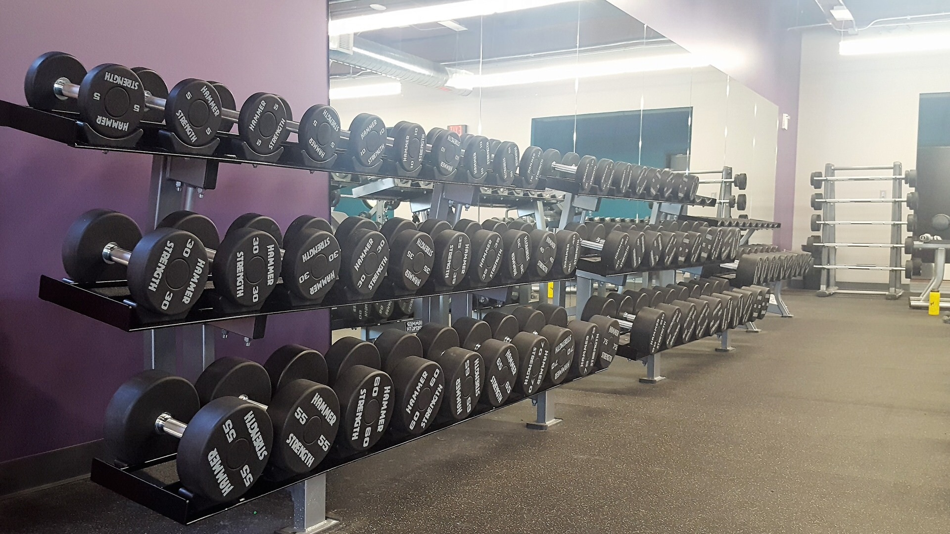 YMCA of Martha's Vineyard - The new Iron Grip dumbbells are